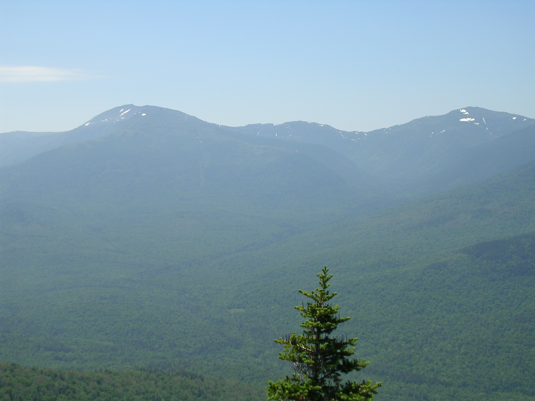 Mt. Washington from Imp Trail